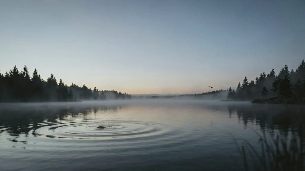 Nebliger See bei Sonnenaufgang mit rätselhaften Wellen